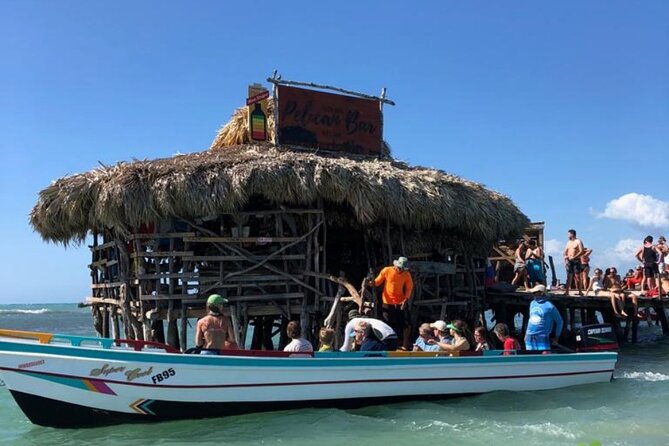 YS Falls, Black River Safari, Appleton Rum Tour OR Pelican Bar (Choose Up to 3) - How to choose your three stops