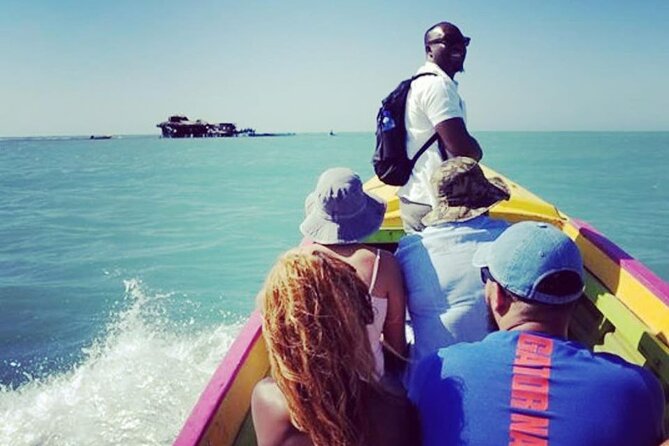 YS Falls, Black River Safari, Appleton Rum Tour OR Pelican Bar (Choose Up to 3) - What your driver adds to the day