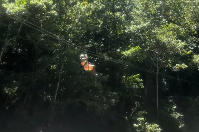YS Falls, Black River Safari, Appleton Rum Tour OR Pelican Bar (Choose Up to 3) - Price, admissions, and real value