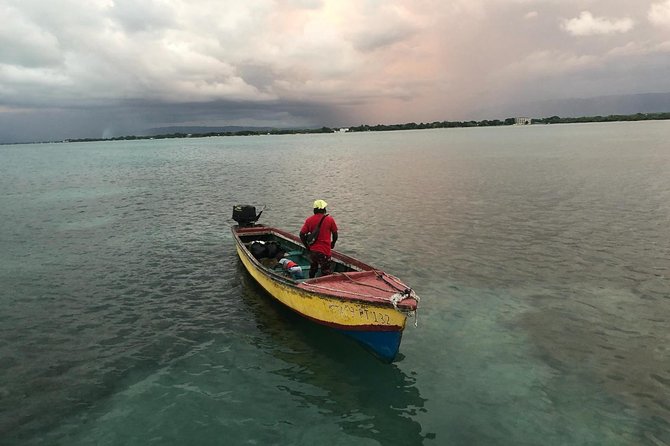YS Falls, Black River Safari, Floyd’s Pelican Bar - Key details before you book