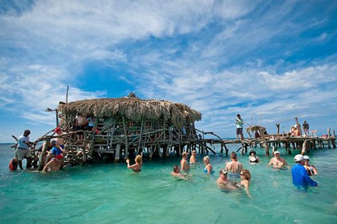 YS Falls, Pelican Bar, Horseback Ride/Swim Combo Tour with Lunch - Key points at a glance
