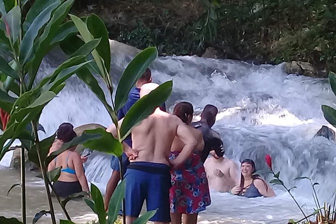 YS Falls & Pelican Bar Tour - YS Falls: the main reason to book