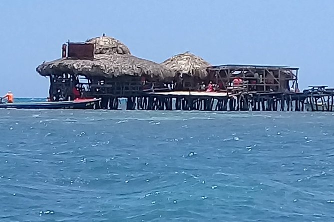 YS Falls & Pelican Bar Tour - Who will enjoy this private outing