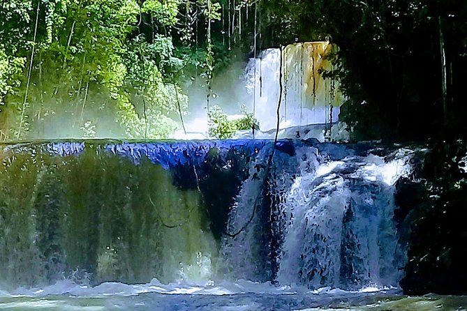 YS Falls & Pelican Bar Tour - Should you book the YS Falls and Pelican Bar tour?